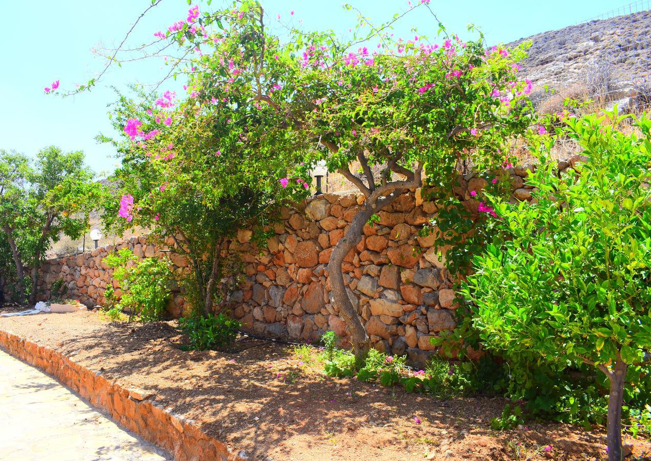 Asteras Apartments Xerokampos  Luaran gambar